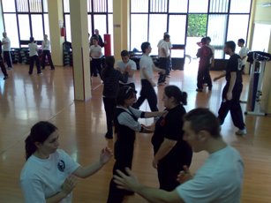 casagiove16.11.08 sifu mezzone wing chun